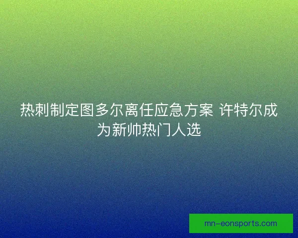 热刺制定图多尔离任应急方案 许特尔成为新帅热门人选